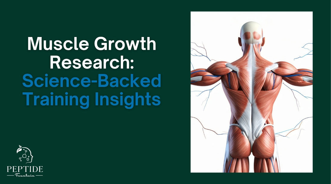 Muscle Growth Research: Science-Backed Training Insights