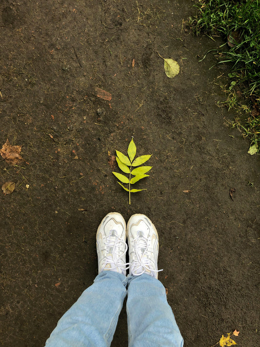 Navigating the Therapeutic vs. Research Landscape