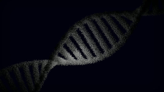 The Proteome Shift Why Researchers Are Moving Beyond DNA Testing in 2026